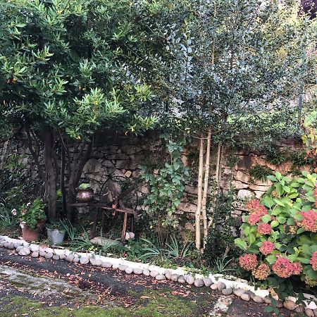 La Casa Verde B&B Trivero 외부 사진