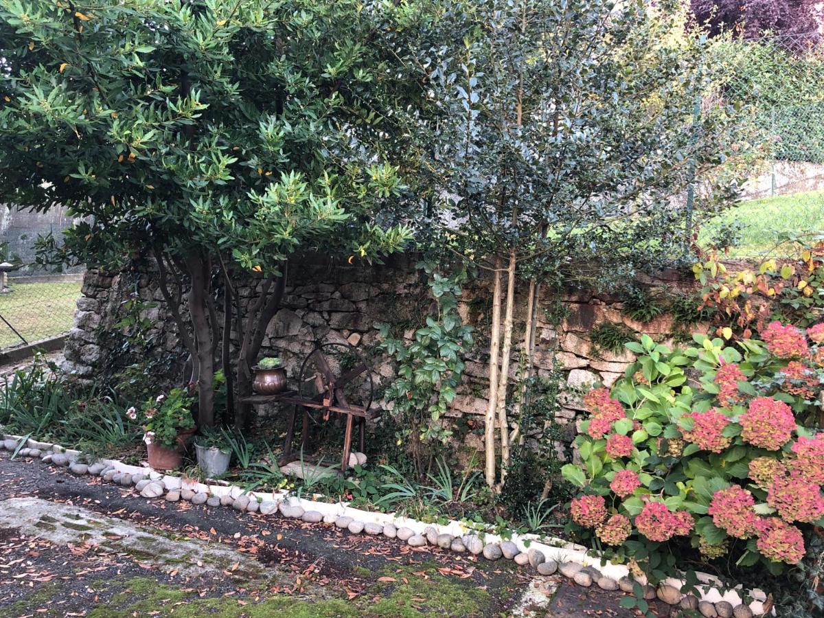 La Casa Verde B&B Trivero 외부 사진